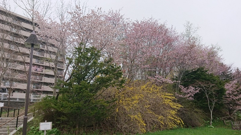 2019_05_17_2