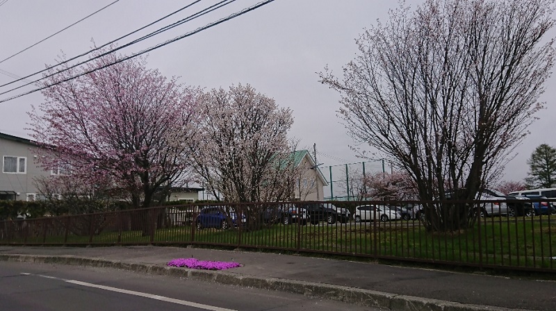 2019_05_17_3